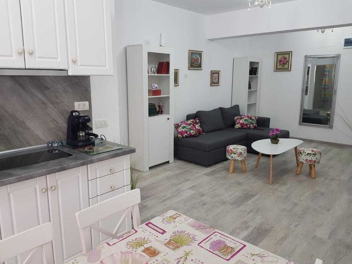 Prime Rose, 2 Camere, Mamaia Nord ナボダリ エクステリア 写真