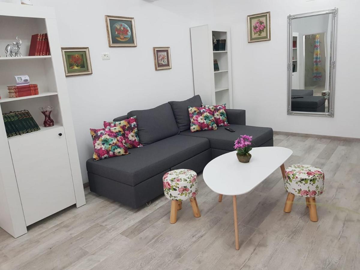 Prime Rose, 2 Camere, Mamaia Nord ナボダリ エクステリア 写真